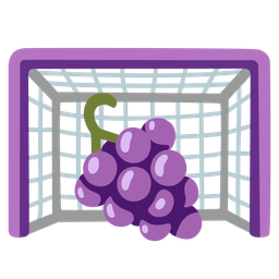 goal net and grapes