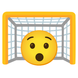 goal net and hushed face