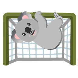 goal net and koala
