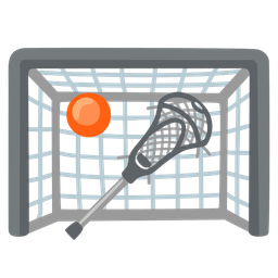 goal net and lacrosse