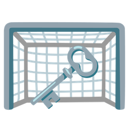 goal net and old key