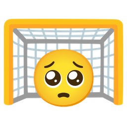 goal net and pleading face