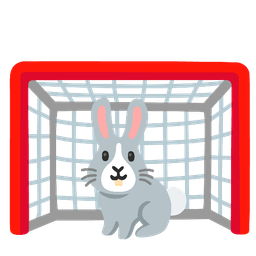 goal net and rabbit face