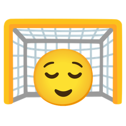 goal net and relieved face