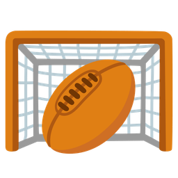 goal net and rugby football