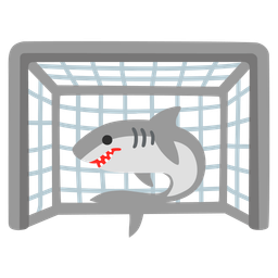 goal net and shark
