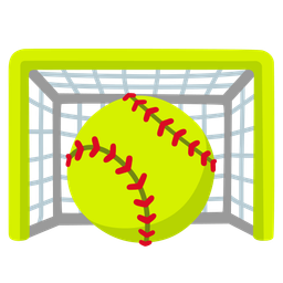 goal net and softball