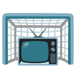 goal net and television