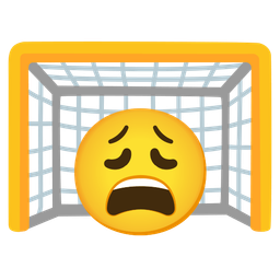 goal net and weary face