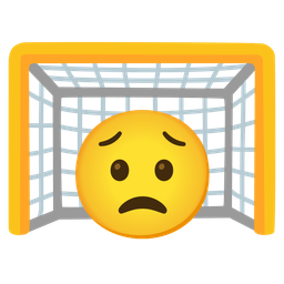 goal net and worried face