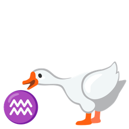 goose and Aquarius