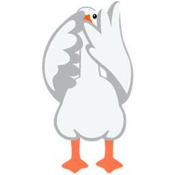 goose and face with peeking eye