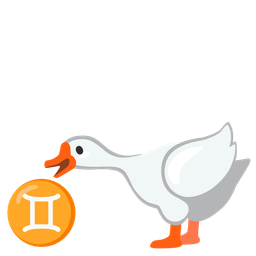 goose and Gemini
