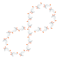 goose and infinity