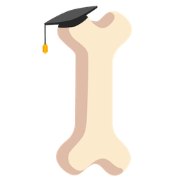 graduation cap and bone