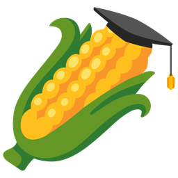 graduation cap and ear of corn