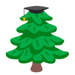 graduation cap and evergreen tree