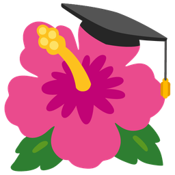 graduation cap and hibiscus