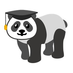 graduation cap and panda