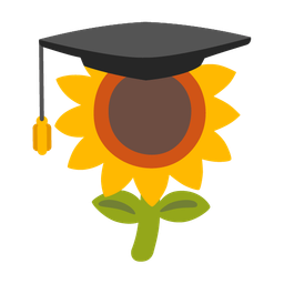 graduation cap and sunflower