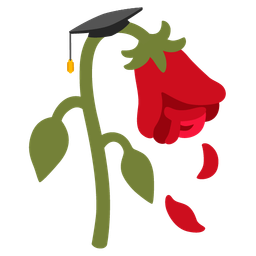 graduation cap and wilted flower