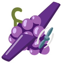 grapes and airplane