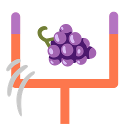 grapes and american football