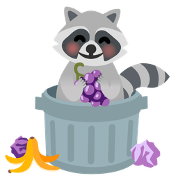 grapes and raccoon