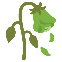 green heart and wilted flower