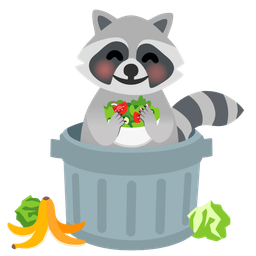 green salad and raccoon