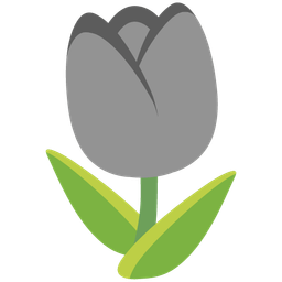 grey heart and tulip
