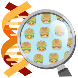 hamburger and dna