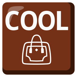 handbag and COOL button
