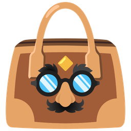 handbag and disguised face
