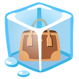 handbag and ice