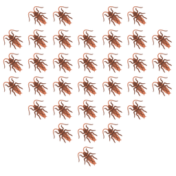 heart suit and cockroach