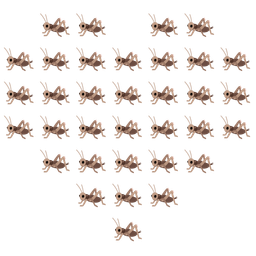 heart suit and cricket