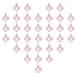 heart suit and garlic