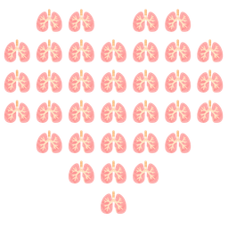 heart suit and lungs