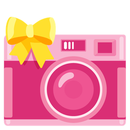 heart with ribbon and camera