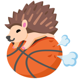 Hedgehog and Basketball