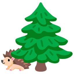Hedgehog and Evergreen tree