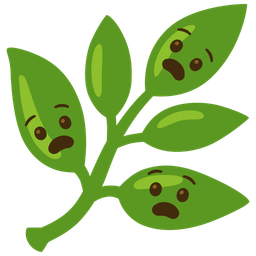 herb and anguished face