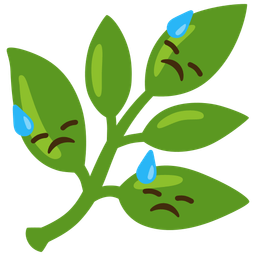 herb and downcast face with sweat