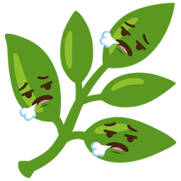 herb and face exhaling