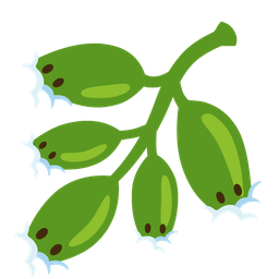 herb and face in clouds