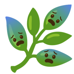 herb and fearful face