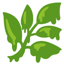 Herb and Melting face