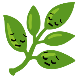 herb and pensive face