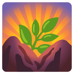 herb and sunrise over mountains